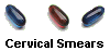 Cervical Smears
