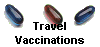 Travel 
 Vaccinations
